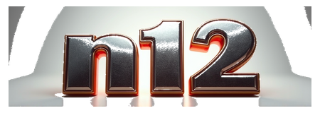 n12 logo